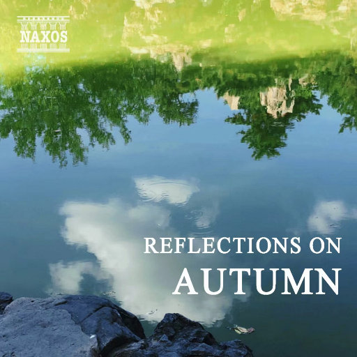 粉嫩小泬无码无套在线观看
